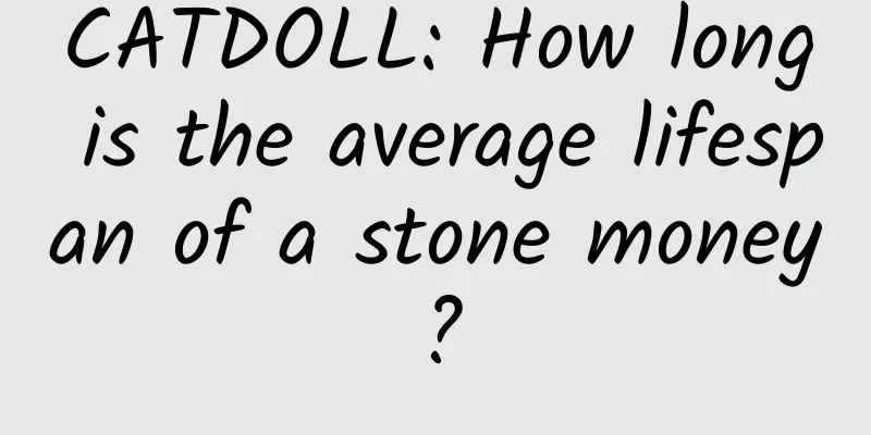 CATDOLL: How long is the average lifespan of a stone money?