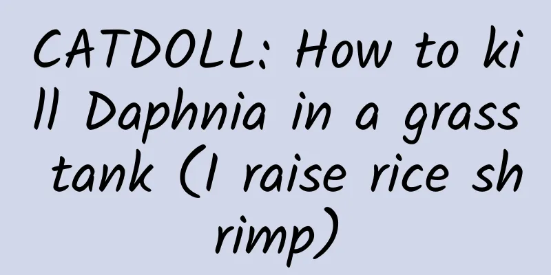 CATDOLL: How to kill Daphnia in a grass tank (I raise rice shrimp)