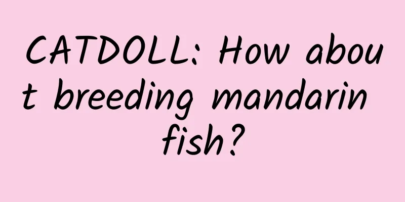 CATDOLL: How about breeding mandarin fish?