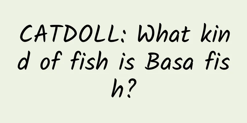 CATDOLL: What kind of fish is Basa fish?