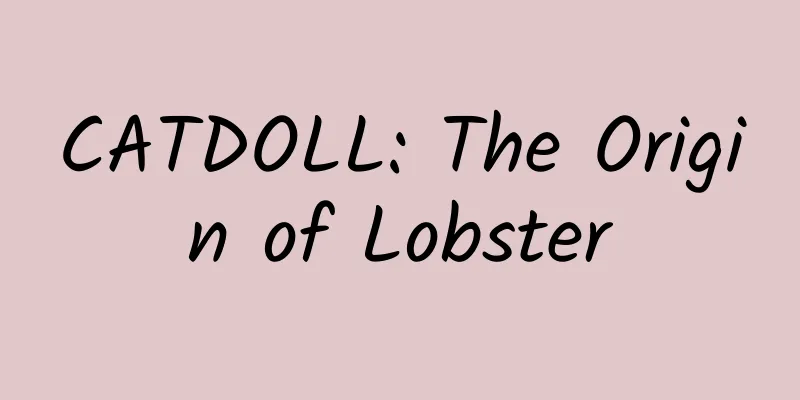 CATDOLL: The Origin of Lobster