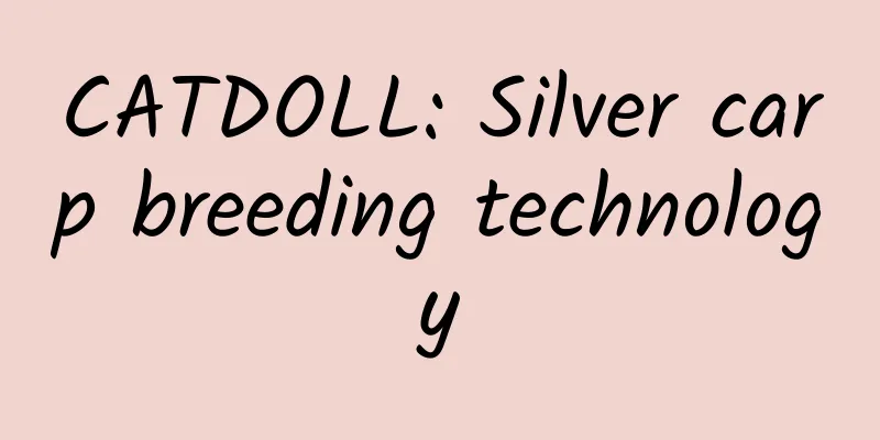 CATDOLL: Silver carp breeding technology
