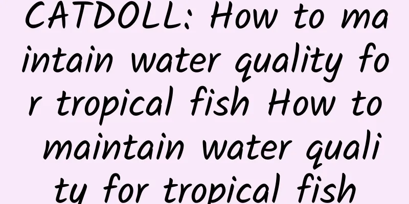 CATDOLL: How to maintain water quality for tropical fish How to maintain water quality for tropical fish