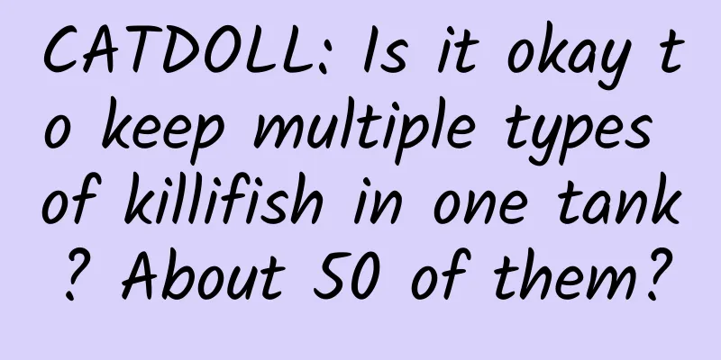 CATDOLL: Is it okay to keep multiple types of killifish in one tank? About 50 of them?