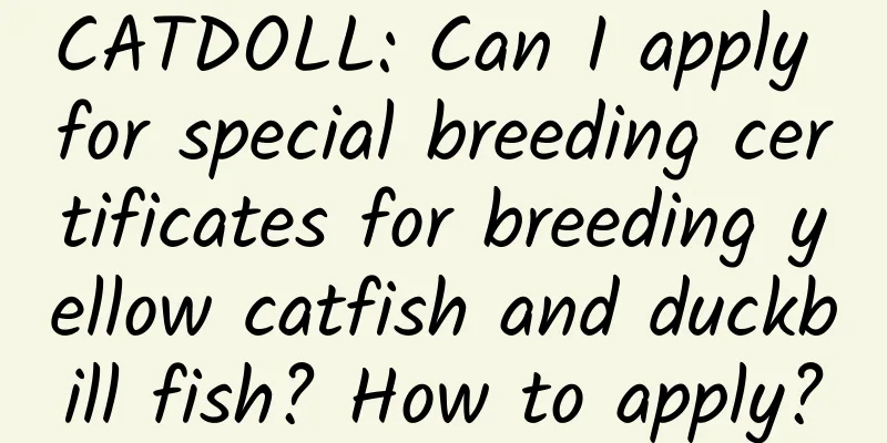 CATDOLL: Can I apply for special breeding certificates for breeding yellow catfish and duckbill fish? How to apply?
