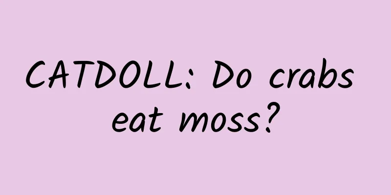 CATDOLL: Do crabs eat moss?