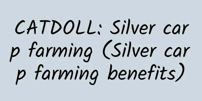 CATDOLL: Silver carp farming (Silver carp farming benefits)