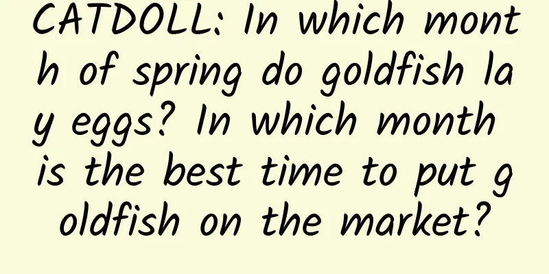 CATDOLL: In which month of spring do goldfish lay eggs? In which month is the best time to put goldfish on the market?