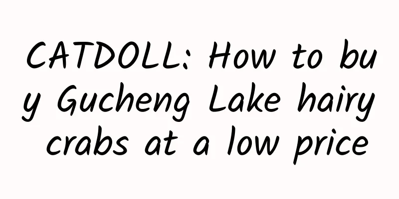 CATDOLL: How to buy Gucheng Lake hairy crabs at a low price