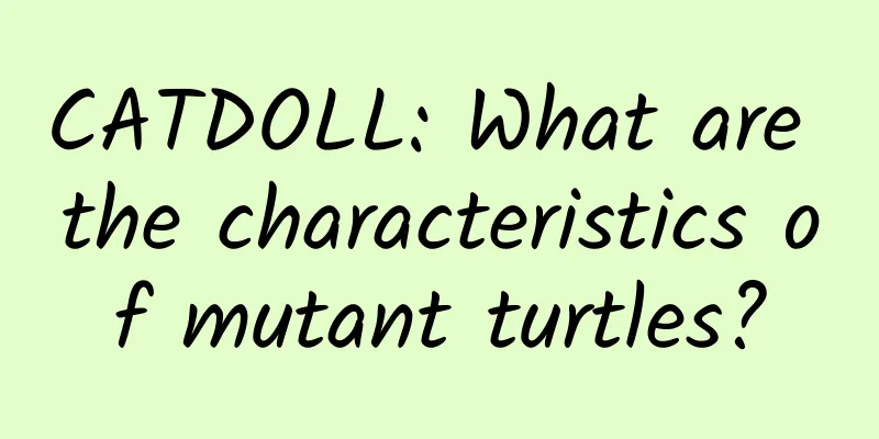 CATDOLL: What are the characteristics of mutant turtles?