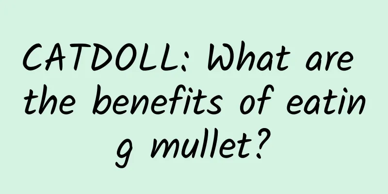 CATDOLL: What are the benefits of eating mullet?