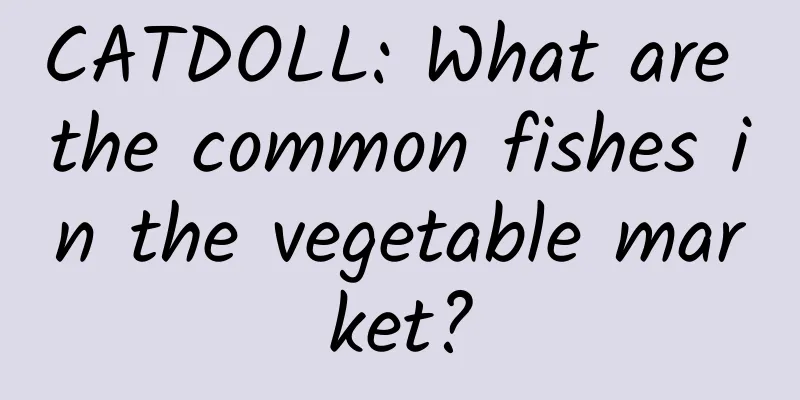 CATDOLL: What are the common fishes in the vegetable market?