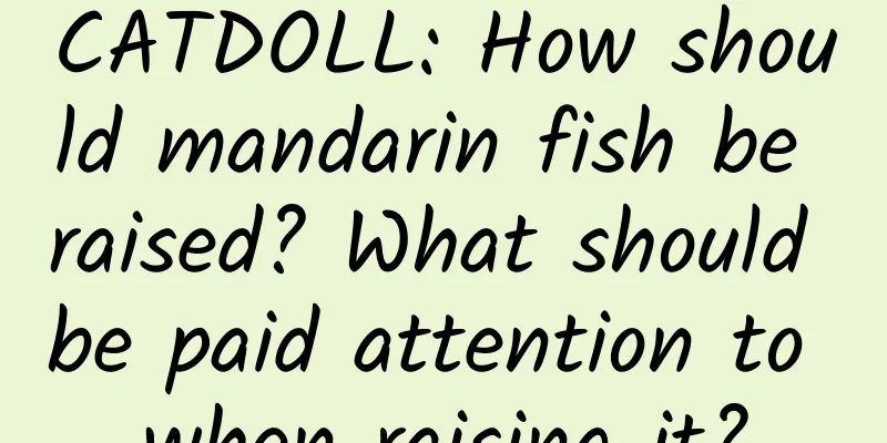 CATDOLL: How should mandarin fish be raised? What should be paid attention to when raising it?