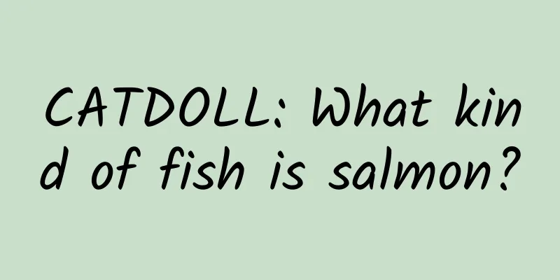 CATDOLL: What kind of fish is salmon?
