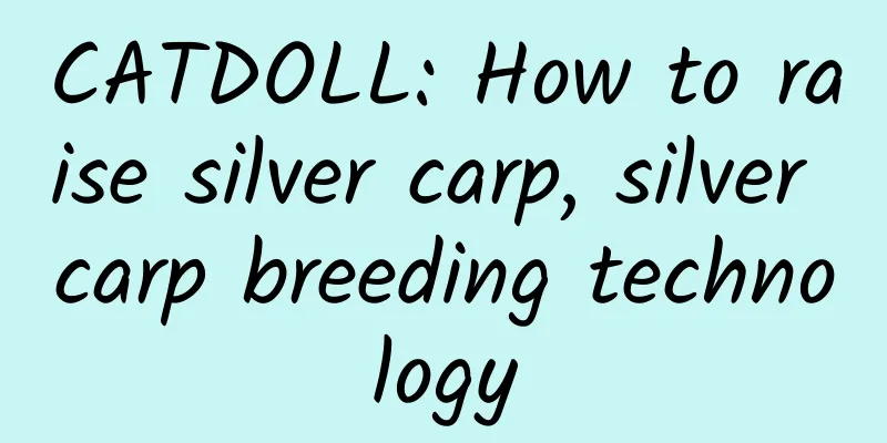 CATDOLL: How to raise silver carp, silver carp breeding technology