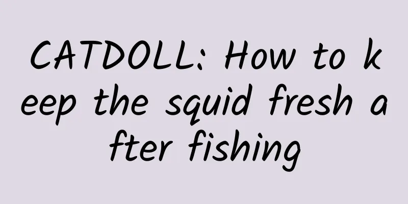 CATDOLL: How to keep the squid fresh after fishing
