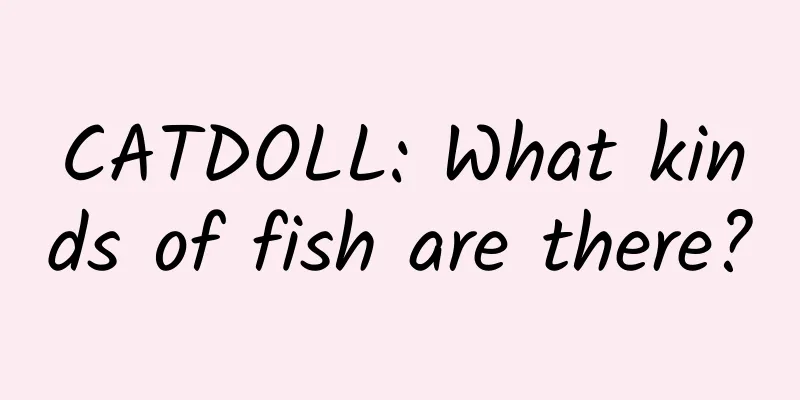 CATDOLL: What kinds of fish are there?