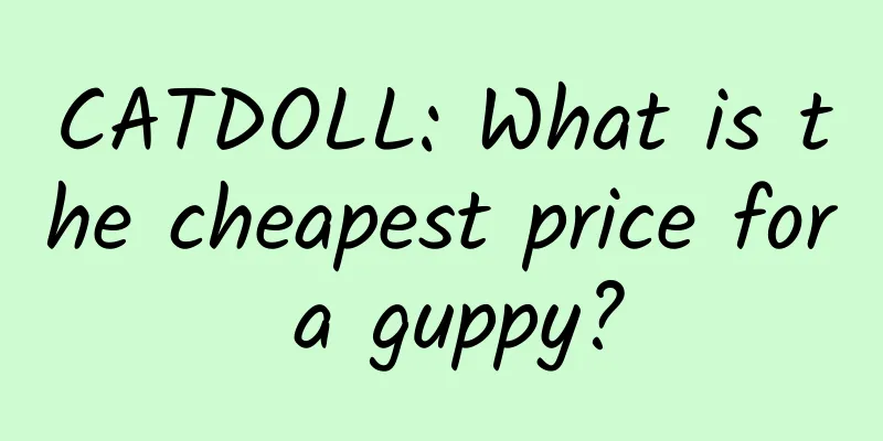 CATDOLL: What is the cheapest price for a guppy?
