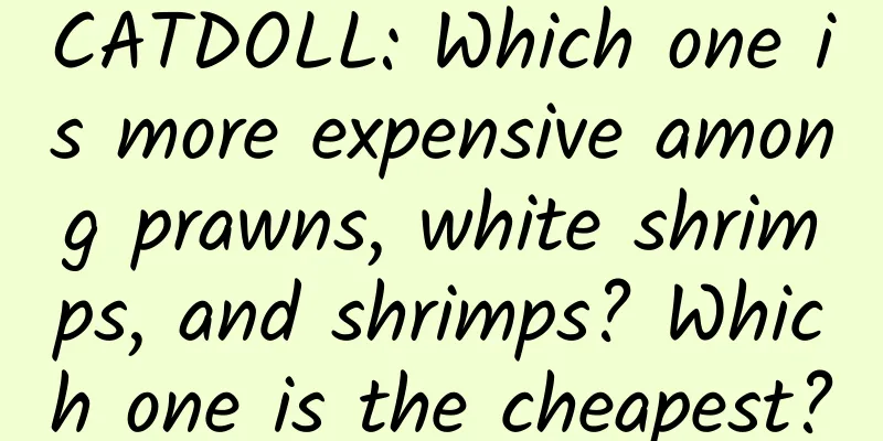 CATDOLL: Which one is more expensive among prawns, white shrimps, and shrimps? Which one is the cheapest?
