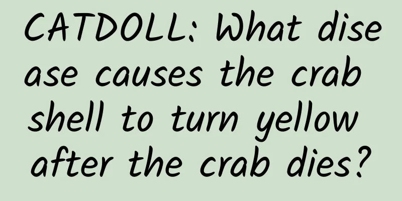 CATDOLL: What disease causes the crab shell to turn yellow after the crab dies?