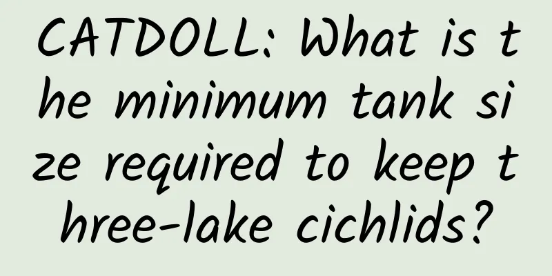 CATDOLL: What is the minimum tank size required to keep three-lake cichlids?