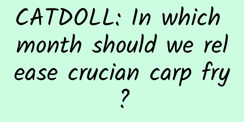 CATDOLL: In which month should we release crucian carp fry?