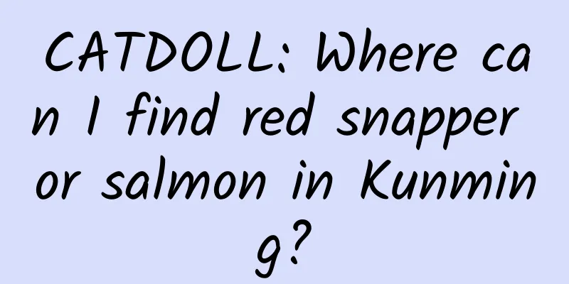 CATDOLL: Where can I find red snapper or salmon in Kunming?