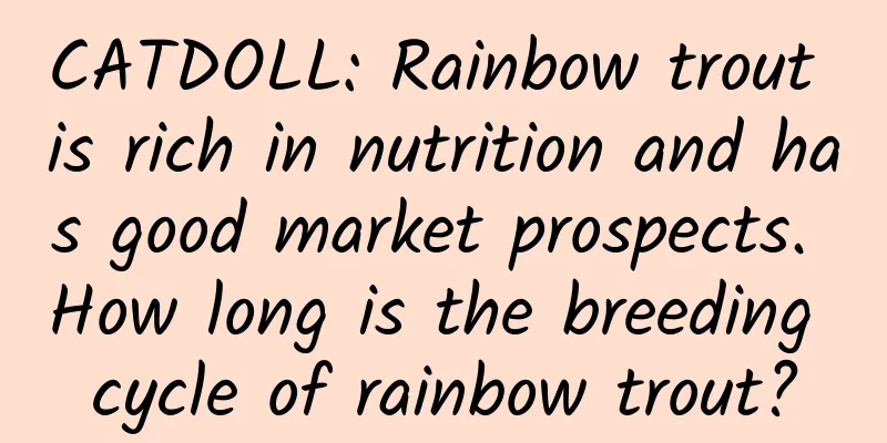 CATDOLL: Rainbow trout is rich in nutrition and has good market prospects. How long is the breeding cycle of rainbow trout?