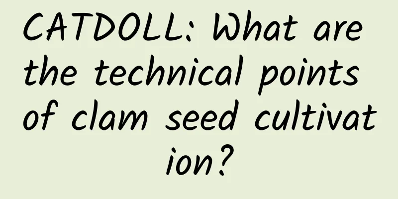 CATDOLL: What are the technical points of clam seed cultivation?
