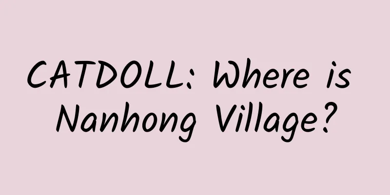 CATDOLL: Where is Nanhong Village?