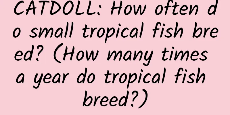 CATDOLL: How often do small tropical fish breed? (How many times a year do tropical fish breed?)