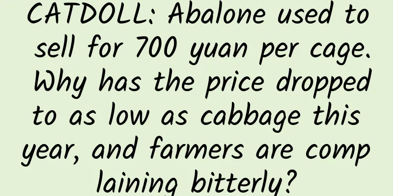 CATDOLL: Abalone used to sell for 700 yuan per cage. Why has the price dropped to as low as cabbage this year, and farmers are complaining bitterly?