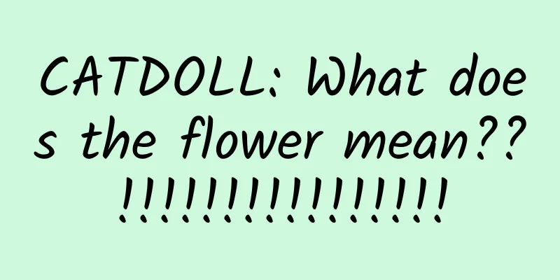 CATDOLL: What does the flower mean??!!!!!!!!!!!!!!!!