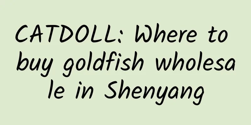 CATDOLL: Where to buy goldfish wholesale in Shenyang