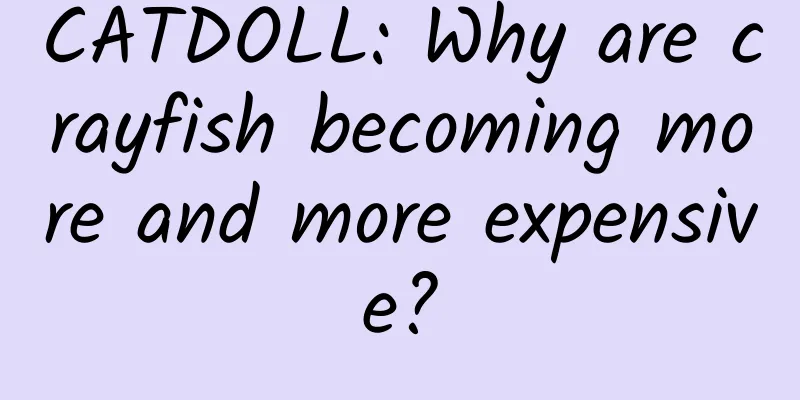 CATDOLL: Why are crayfish becoming more and more expensive?