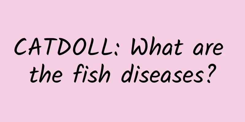 CATDOLL: What are the fish diseases?