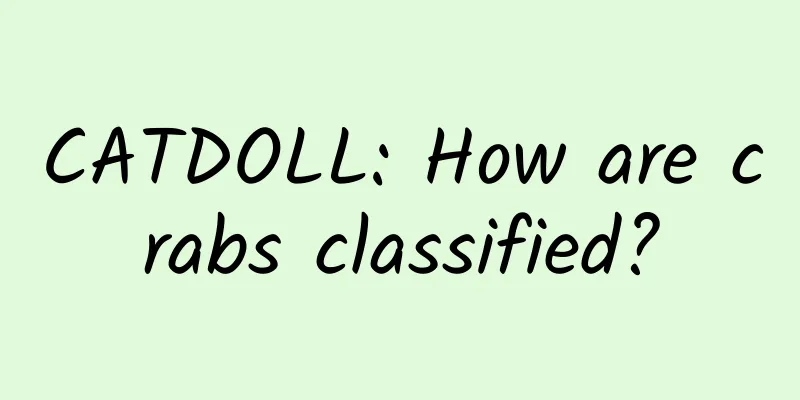 CATDOLL: How are crabs classified?
