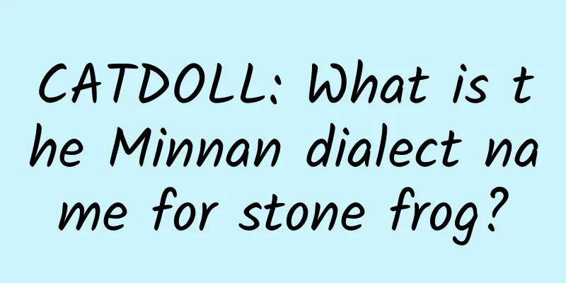 CATDOLL: What is the Minnan dialect name for stone frog?