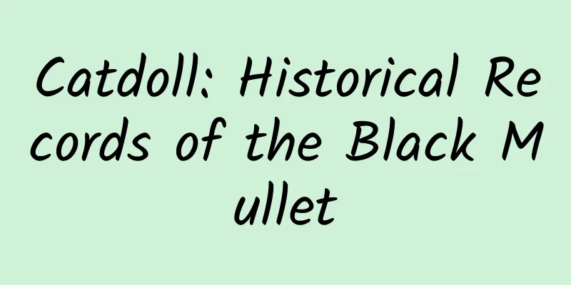 Catdoll: Historical Records of the Black Mullet