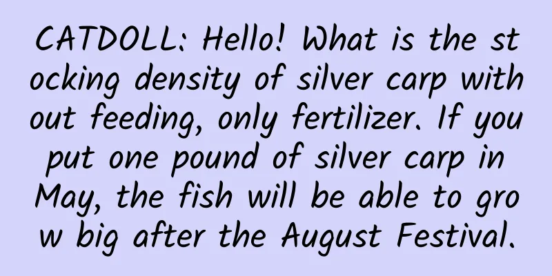 CATDOLL: Hello! What is the stocking density of silver carp without feeding, only fertilizer. If you put one pound of silver carp in May, the fish will be able to grow big after the August Festival.