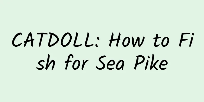 CATDOLL: How to Fish for Sea Pike