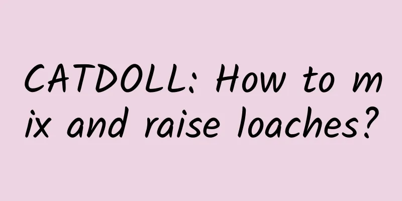 CATDOLL: How to mix and raise loaches?