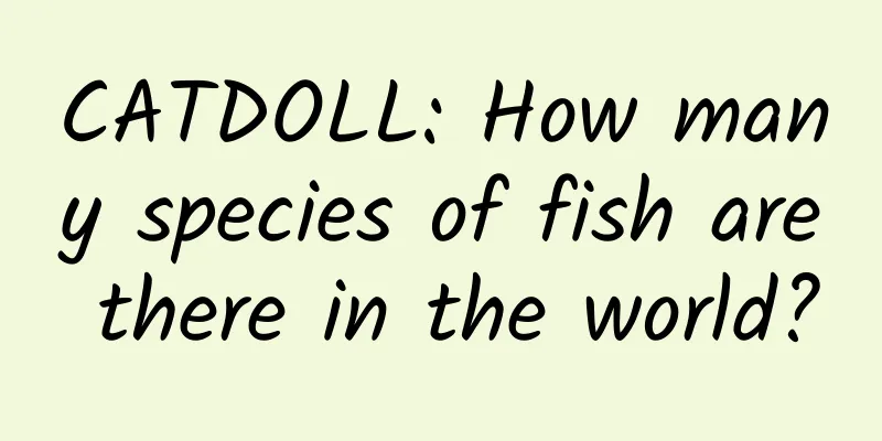 CATDOLL: How many species of fish are there in the world?