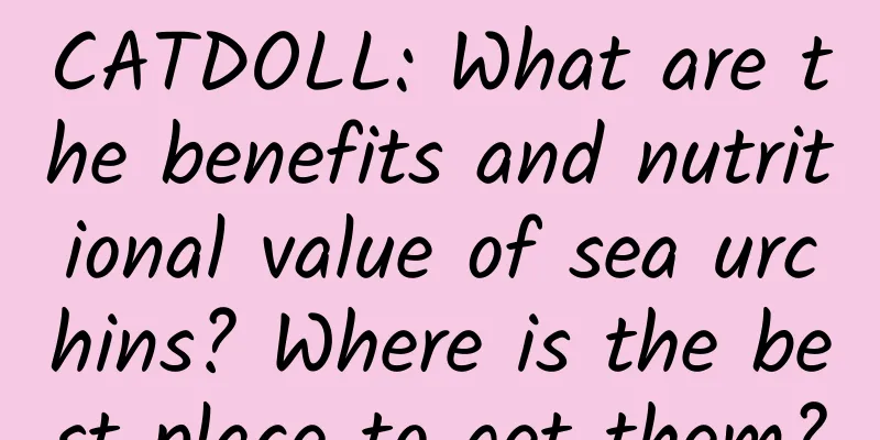 CATDOLL: What are the benefits and nutritional value of sea urchins? Where is the best place to get them?