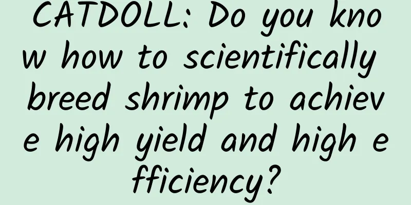 CATDOLL: Do you know how to scientifically breed shrimp to achieve high yield and high efficiency?