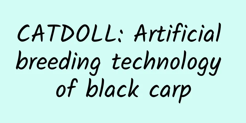 CATDOLL: Artificial breeding technology of black carp