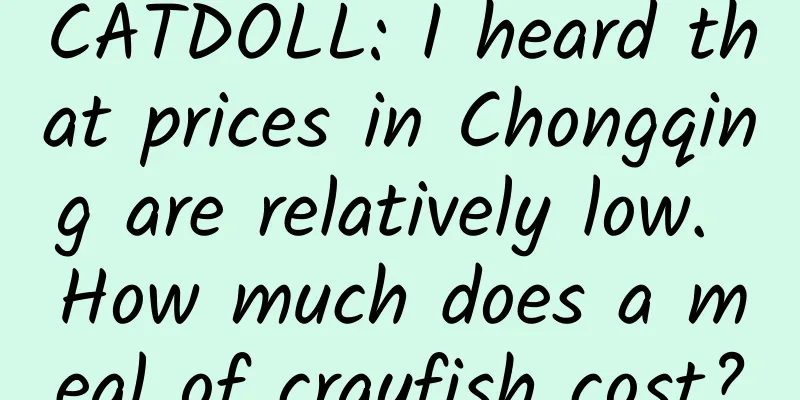 CATDOLL: I heard that prices in Chongqing are relatively low. How much does a meal of crayfish cost?