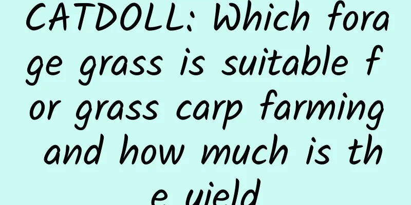 CATDOLL: Which forage grass is suitable for grass carp farming and how much is the yield