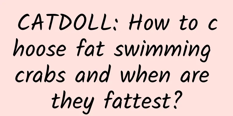 CATDOLL: How to choose fat swimming crabs and when are they fattest?