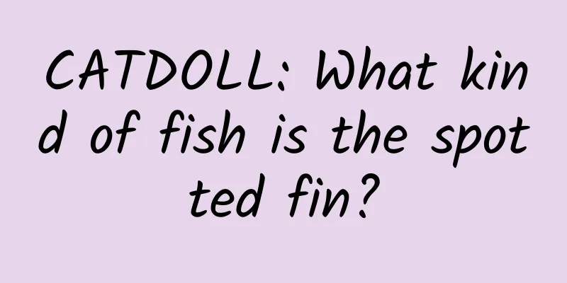 CATDOLL: What kind of fish is the spotted fin?